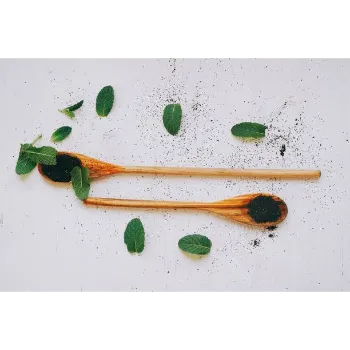 Natural Dry Mint Leaves
